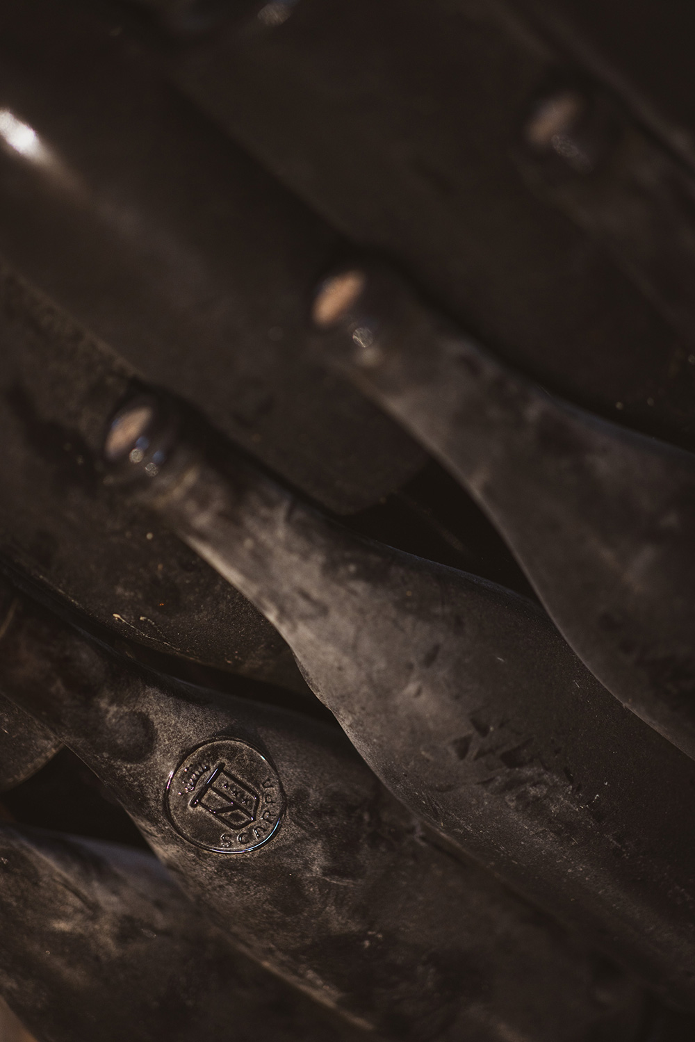 Scarpa Wine