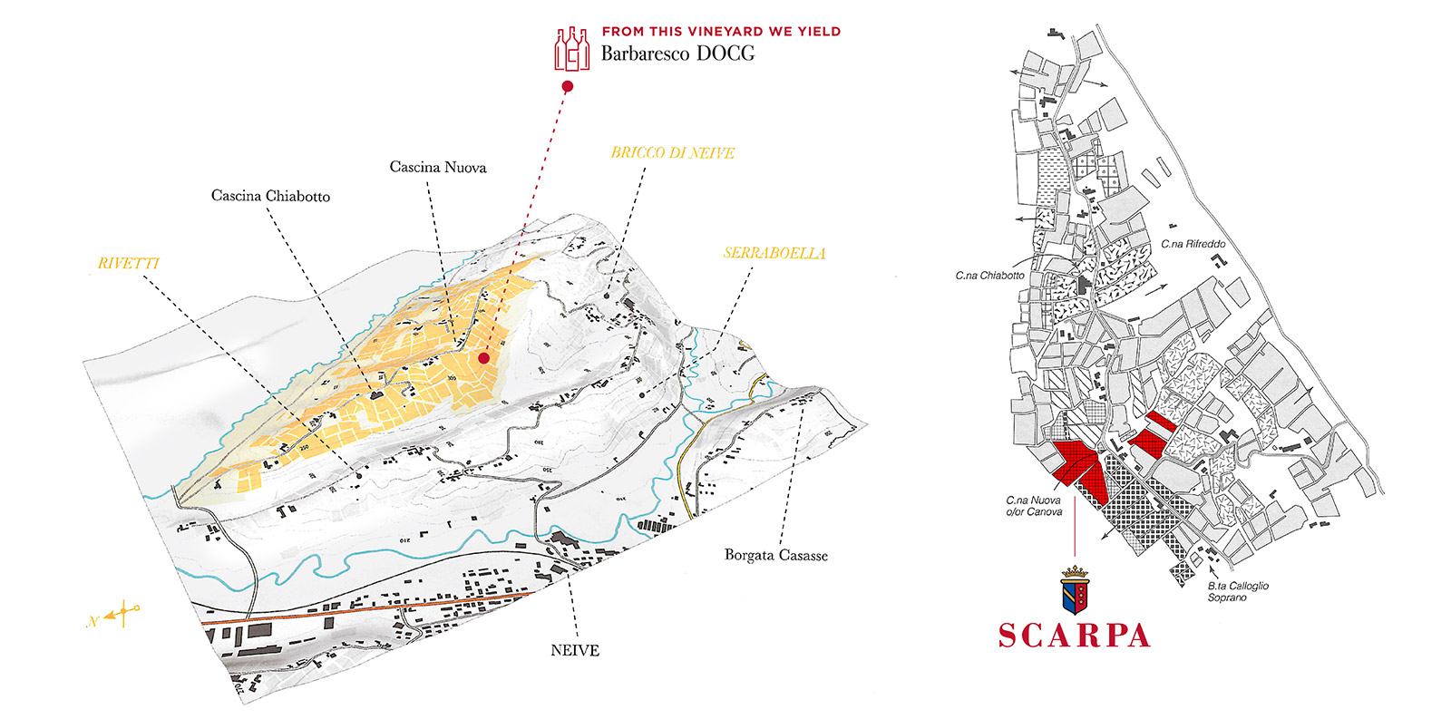 Scarpa